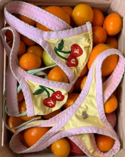 Nude Project Coralite Bikini Top New