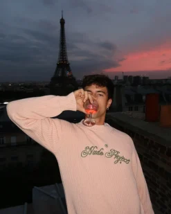 Nude Project Script Knit Sweater Pink Online